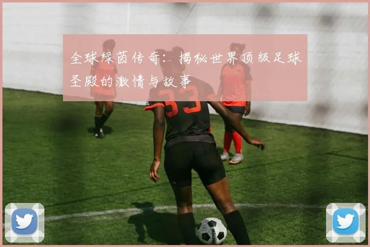 全球绿茵传奇：揭秘世界顶级足球圣殿的激情与故事