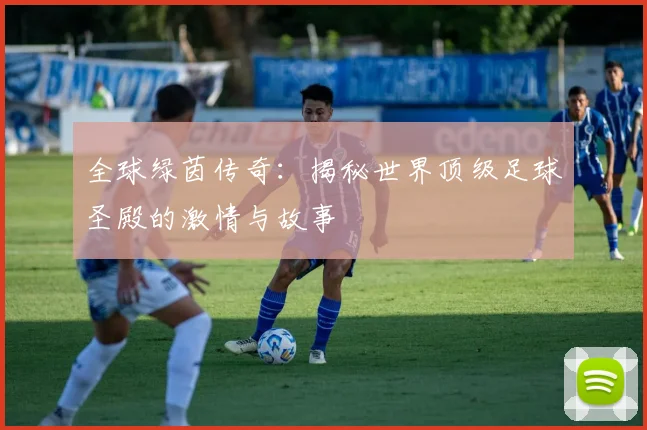 全球绿茵传奇：揭秘世界顶级足球圣殿的激情与故事